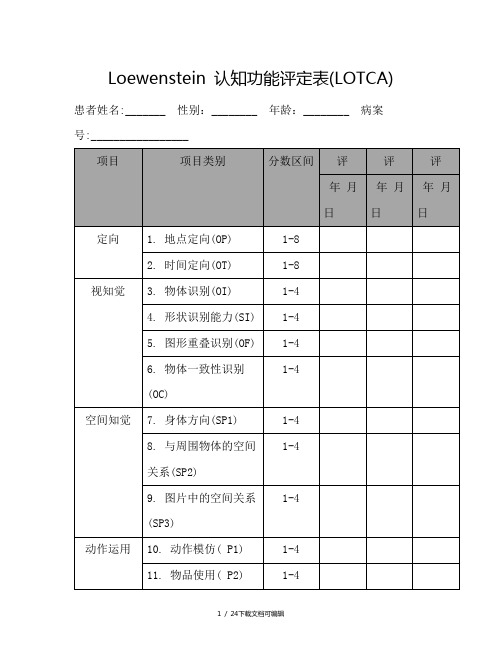 Loewenstein 认知功能评定表(LOTCA)