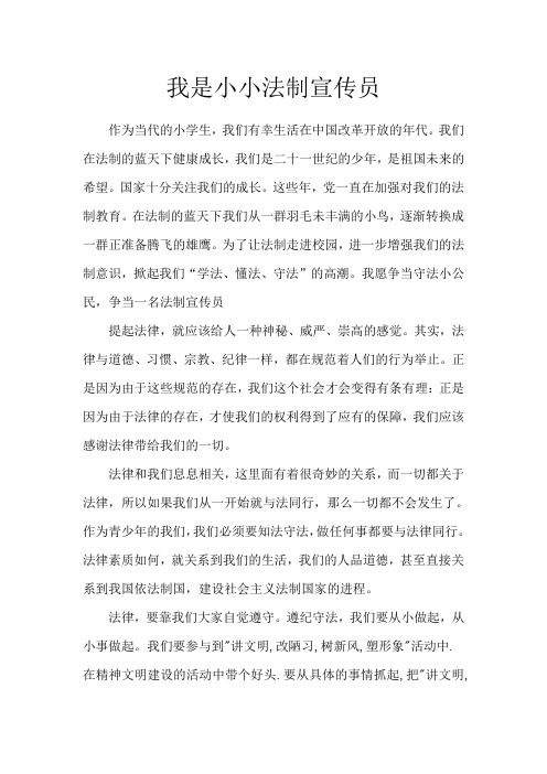 我是小小法制宣传员