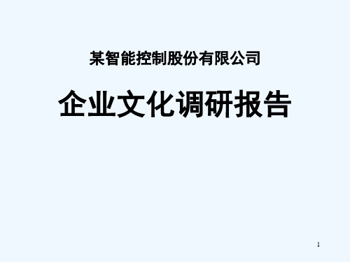 企业文化诊断报告