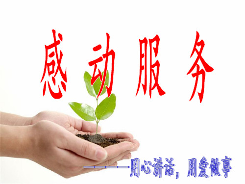 感动服务