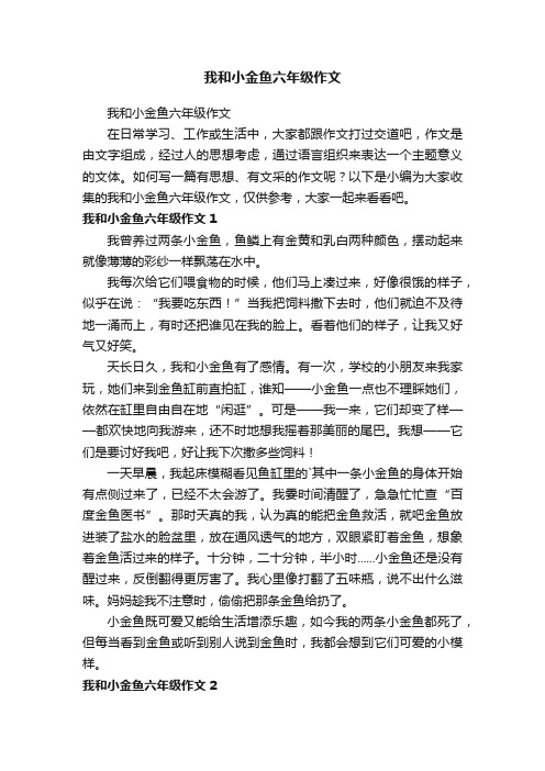 我和小金鱼六年级作文