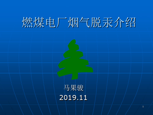 燃煤电厂烟气脱汞介绍 共21页PPT资料