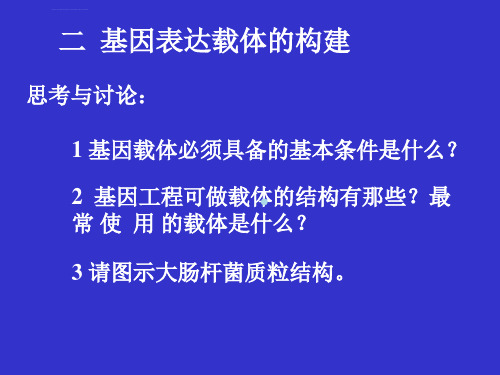 基因表达载体构建课件