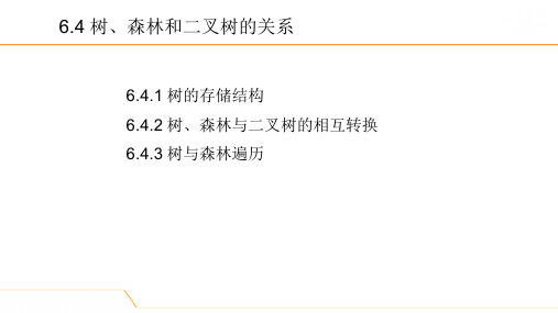 6.4数据库系统