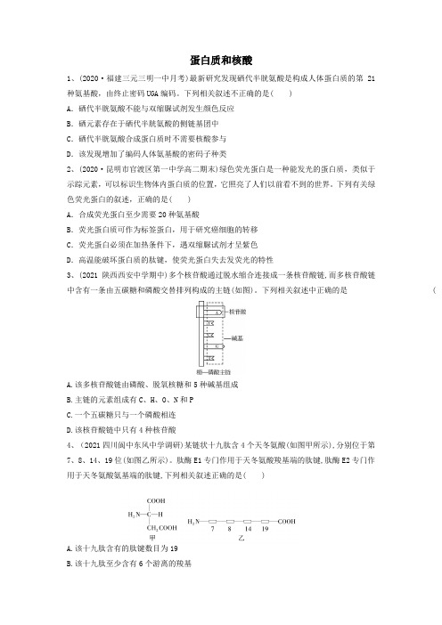 高考生物一轮复习串讲精练(新高考专用)专题03 蛋白质和核酸(精练)(原卷版+解析)