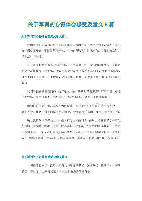 关于军训的心得体会感受及意义5篇