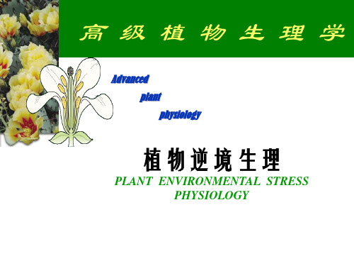 植物在逆境中的生理生长.ppt1