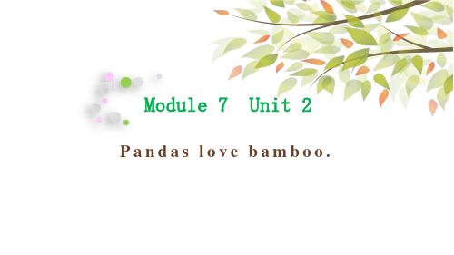 2021年外研版三起六年级上册英语M7 Unit 2 Pandas love bamboo