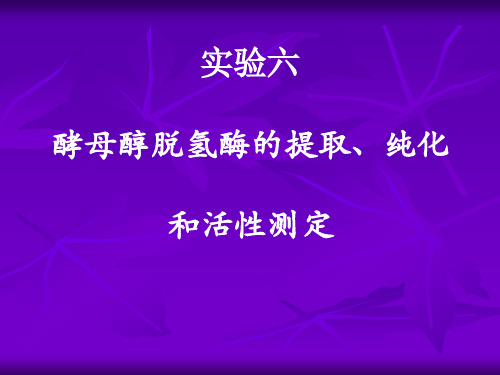 06 实验六  酵母醇脱氢酶的提取、纯化和活性分析