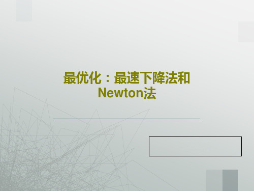 最优化：最速下降法和Newton法共36页文档