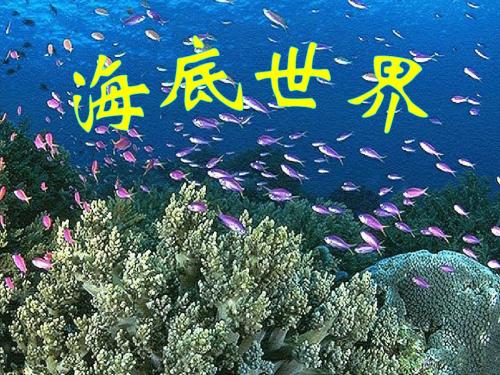 三年级语文上册《海底世界》课件3北师大版