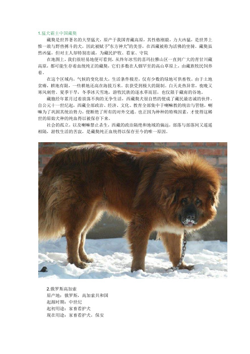 世界名犬大全