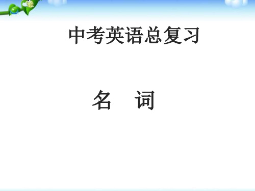 中考英语语法专题复习--名词课件(共22张PPT)