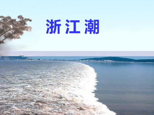 浙江潮(教学用)