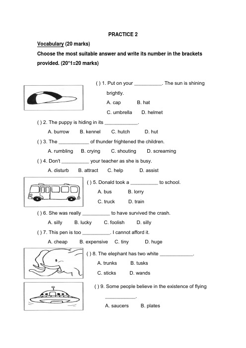 新加坡小学二年级英语试卷PRACTICE 2