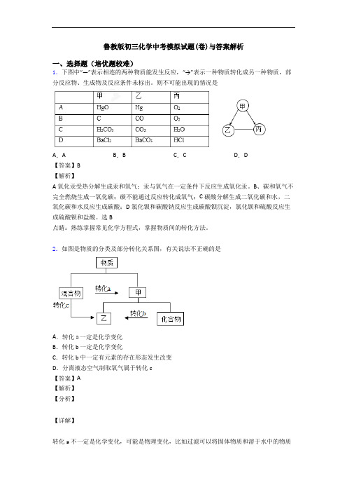 鲁教版初三化学中考模拟试题(卷)与答案解析