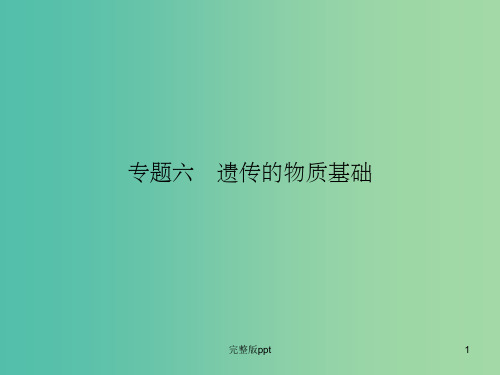 高考生物二轮专题复习 专题六 遗传的物质基础课件