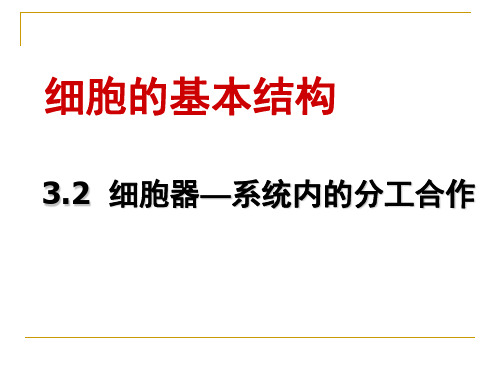 上课细胞器──系统内的分工合作_ppt