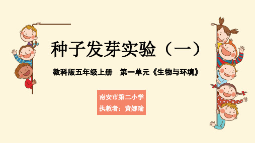 小学科学教科版五年级上册《种子发芽实验(一)》课件公开课(1)