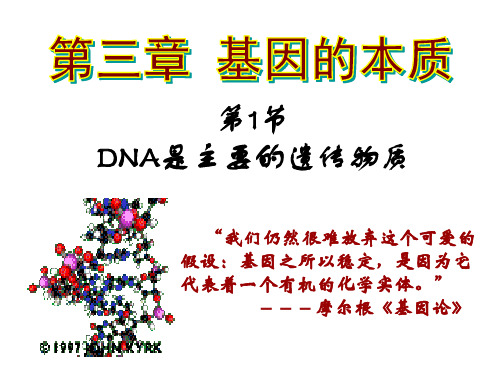 人教版高中生物必修二第三章第1节《DNA是主要遗传物质》(共31张PPT)