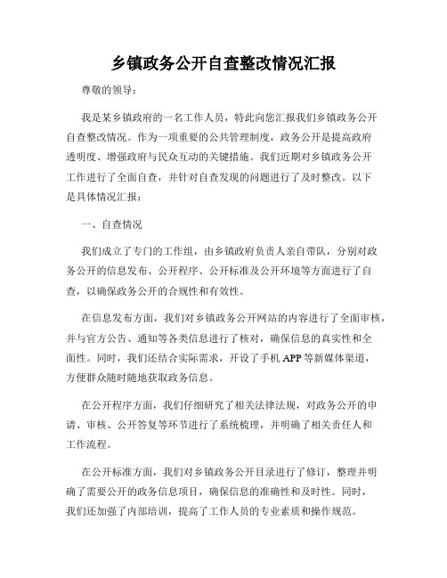 乡镇政务公开自查整改情况汇报