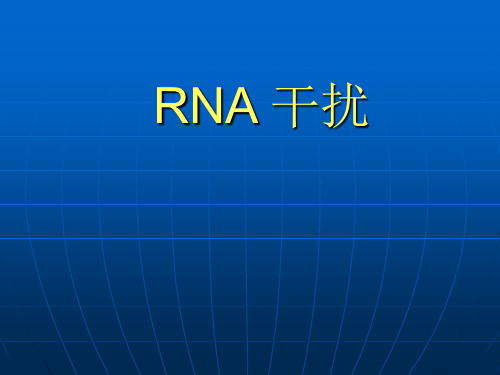 RNAs 小RNA的全面介绍