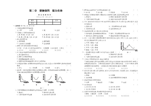 河北少儿版  生物 七年级下册  第三章  健肺强肾  精力充沛 测试卷(综合提升卷)