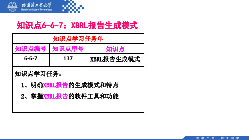 (137)6.6.7：XBRL报告生成模式