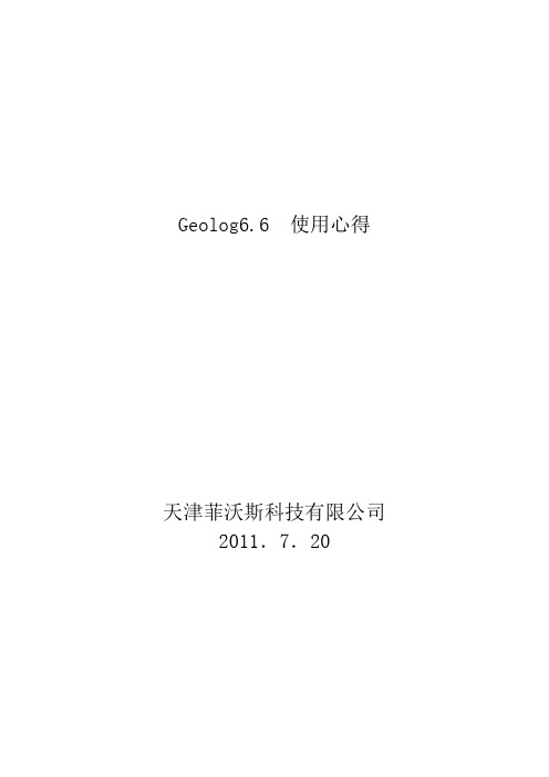 Geolog6使用心得体会