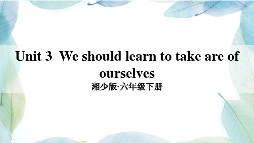 小学英语六年级下册Unit 3  We should learn to take are of ourselves