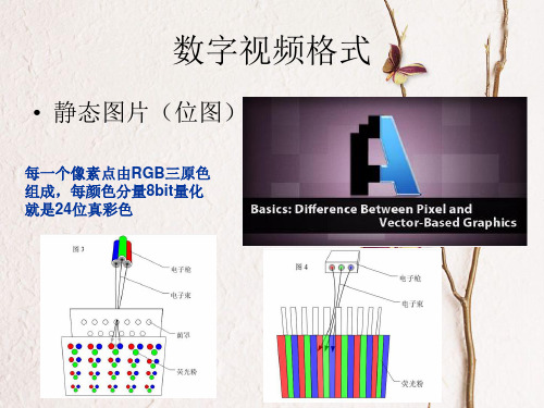 数字视频格式