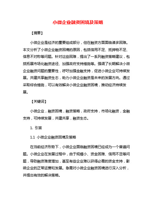 小微企业融资困境及策略