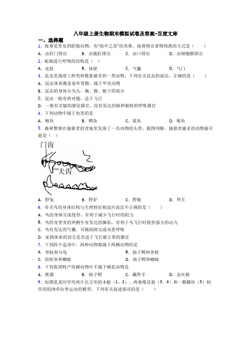 八年级上册生物期末模拟试卷及答案-百度文库