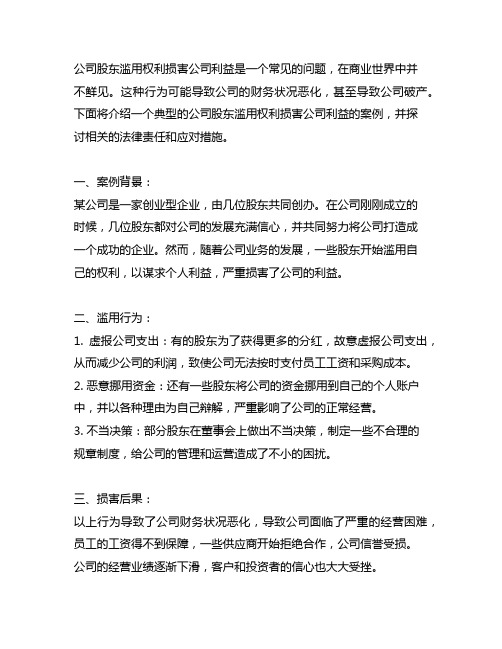 公司股东滥用权利损害公司利益典型案例