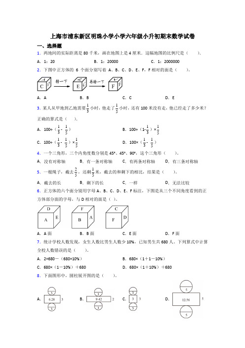 上海市浦东新区明珠小学小学六年级小升初期末数学试卷