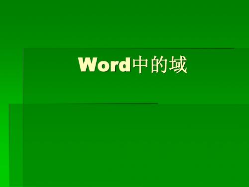 Word中的域