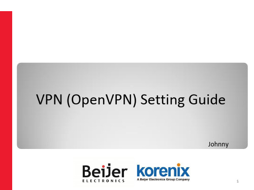 JetBox 5630 与 JetWave 2311 的 OpenVPN 配置指南说明书