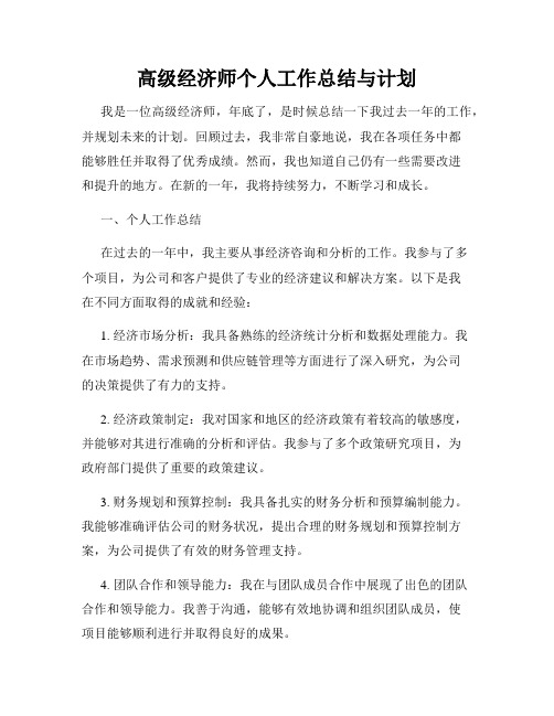 高级经济师个人工作总结与计划