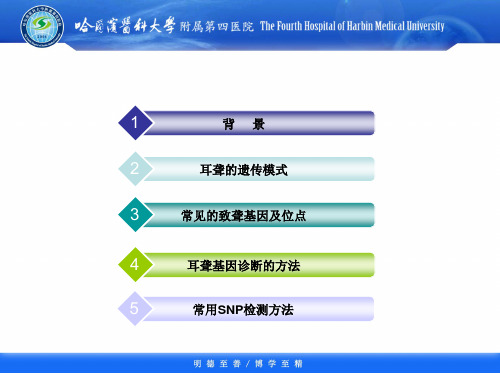 耳聋基因诊断培训课件