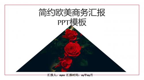 【精选】简约欧美商务汇报PPT模板ppt精美模板