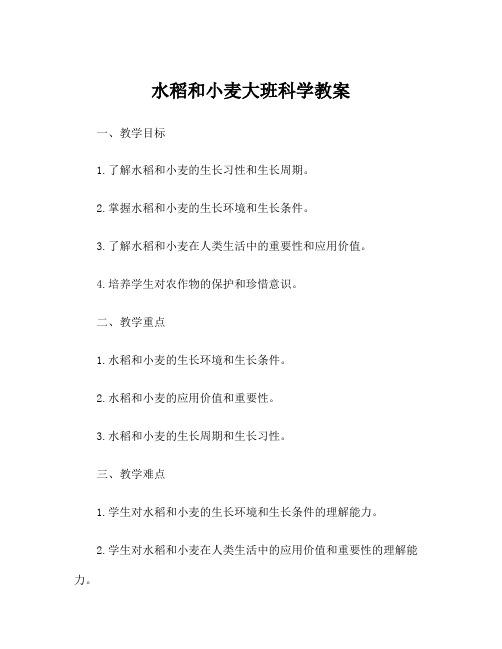 水稻和小麦大班科学教案