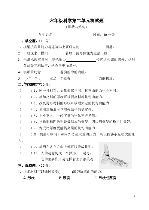 教科版小学科学六年级上册第二单元检测题