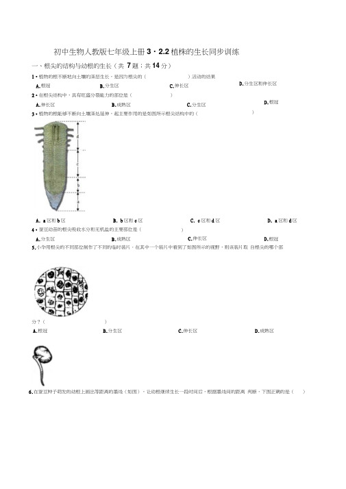 初中生物人教版七年级上册3.2.2植株的生长同步训练(解析版)