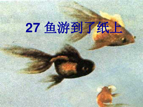 27-鱼游到了纸上解析