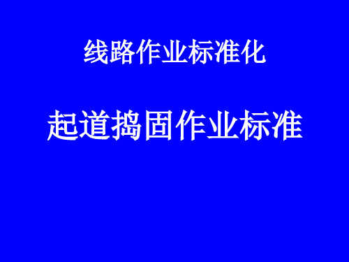 线路作业标准化1起道捣固精品PPT课件