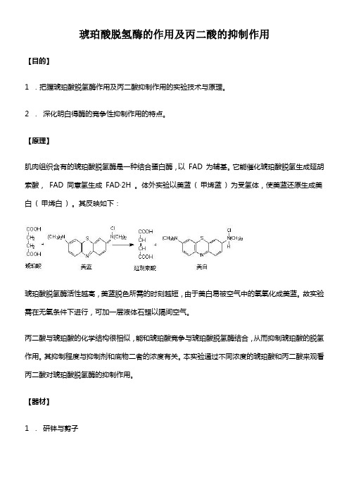 15生物化学实验琥珀酸脱氢酶的作用及丙二酸的抑制作用