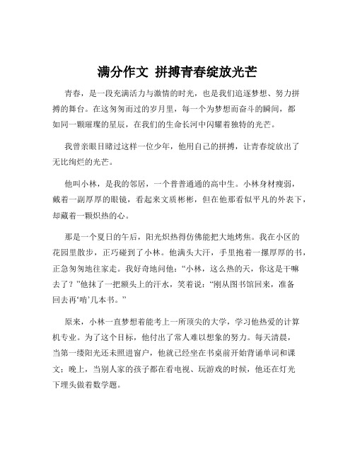 满分作文  拼搏青春绽放光芒