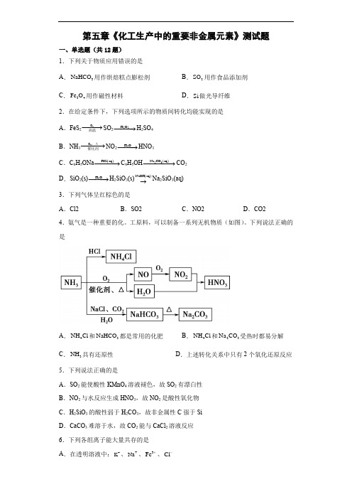 第五章《化工生产中的重要非金属元素》测试题--高一下学期人教版(2019)化学必修第二册