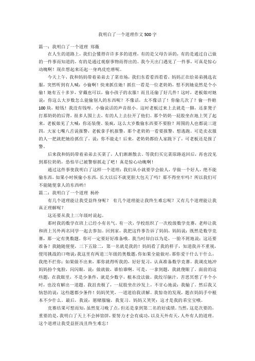 我明白了一个道理作文500字优秀作文