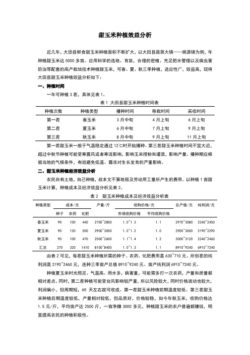 甜玉米种植效益分析